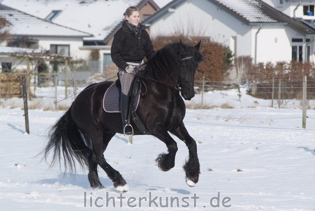 Pferd und Reiter 1101